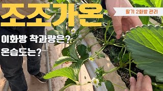 2화방 관리 방법