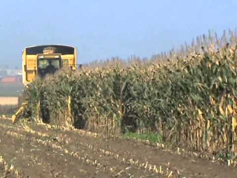 Loonw. Spruytte - Houthulst