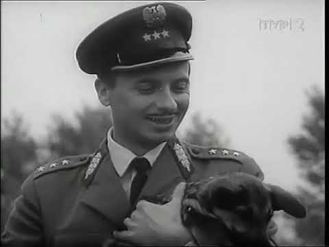 Przygody psa Cywila odc. 1