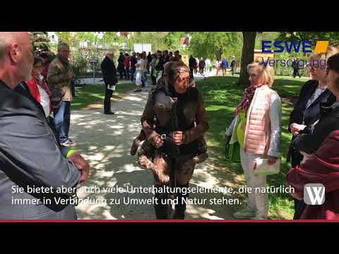 Bad Schwalbach: Hessische Landesgartenschau eröffnet