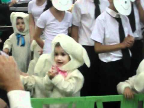 Ovelha Travessa - Mara Lima