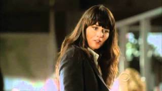 Trailer long CBS