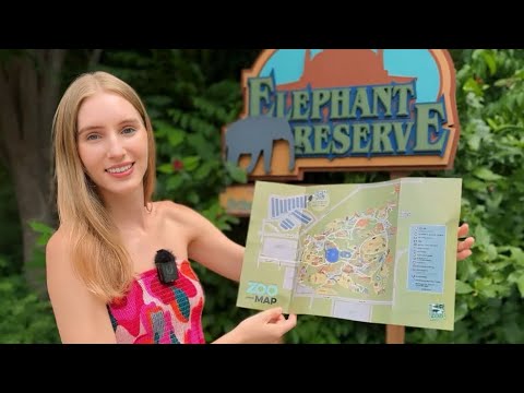 Teaching English at the Zoo