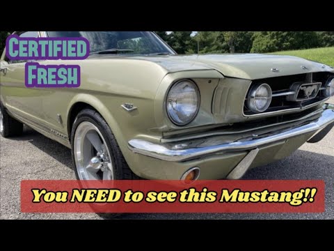 Forget the Rest - You MUST SEE the Best! 1965 Ford Mustang GT #mustanggt