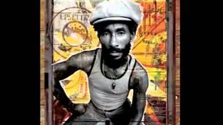 The Upsetter-Kingdom Of Dub