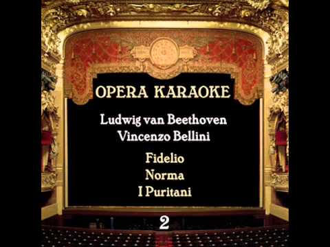 Ludwig van Beethoven - Fidelio, op. 72 : Der Rächer Naht