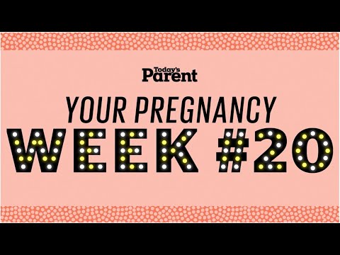 Your pregnancy: 20 weeks
