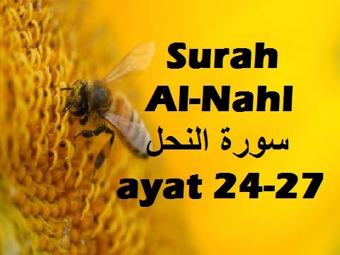 2013/04/01 Ustaz Shamsuri 773 - NE2 Surah An Nahl ayat 24-27