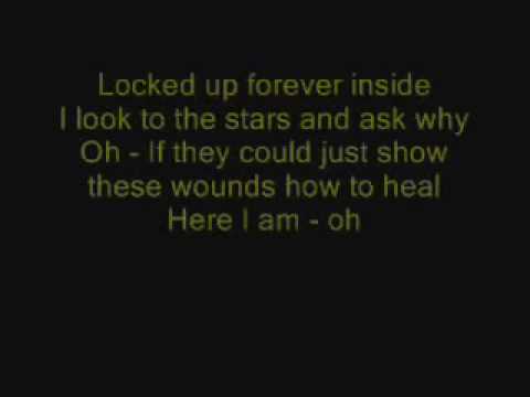 The Offspring - Lightning Rod with lyrics