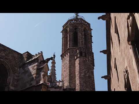 Andreas von Wunn   - Concierto de Aranjuez  Joaquin Rodrigo  Allegro