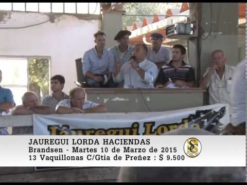 Ventas de Vientres - Jauregui Lorda - Brandsen - 10-03-2015