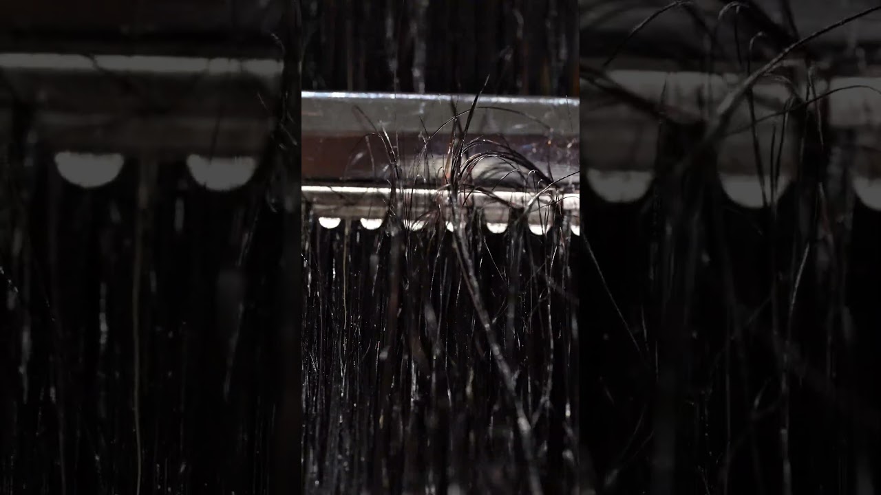 【Haircut】ASMR‼️レザーカットのマクロな世界！