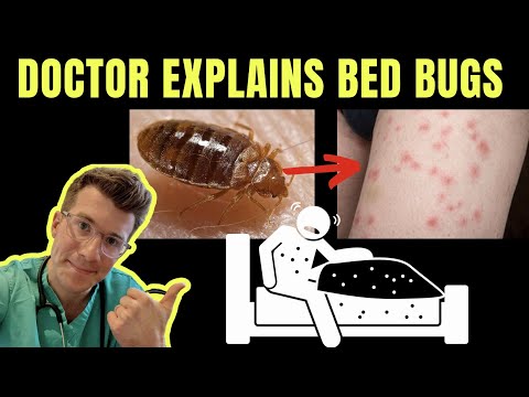 YouTube video about: How do I disinfect my shoes from bed bugs?