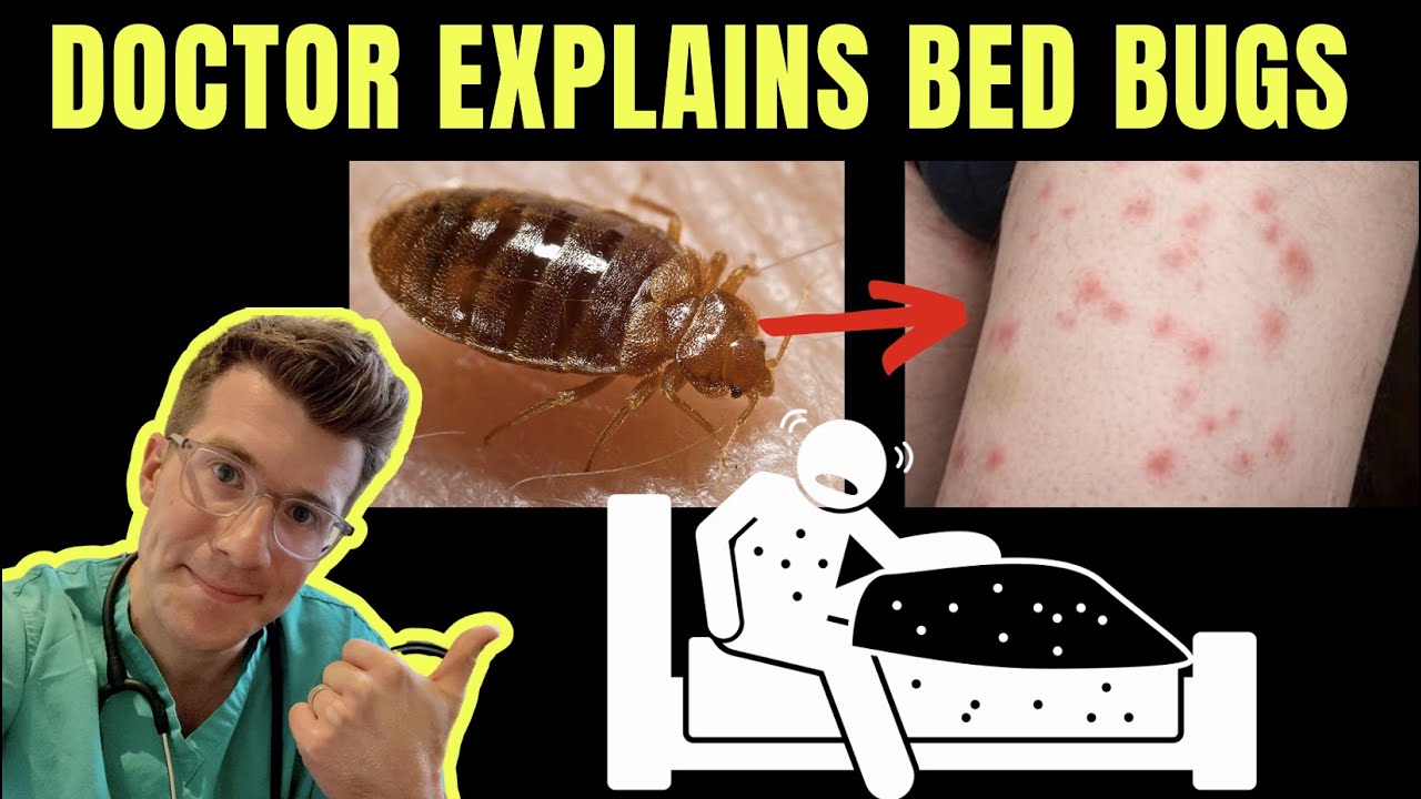 Can bed bugs go in your private parts? Life Set Go