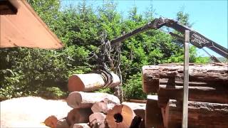preview picture of video 'Descarga de madera 2 (Liquiñe)'