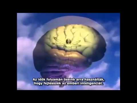 hogyan kell fűszerezni a magas vérnyomású salátákat
