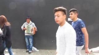 Video from Parque Experimental El Eco.