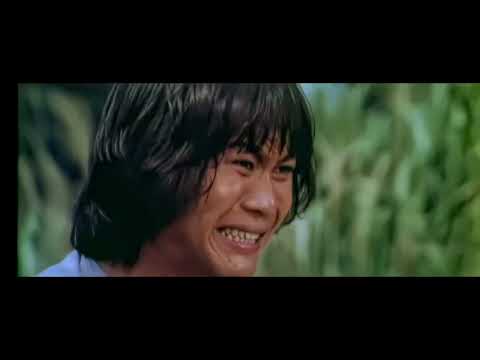 SEVEN STEPS OF KUNG-FU