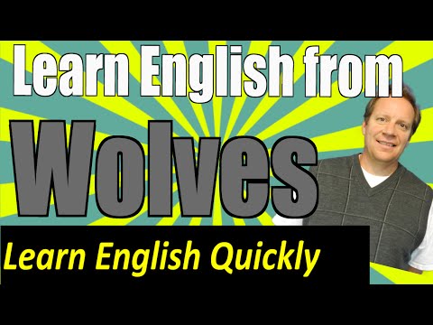 English Listening Lesson from Wolves: Practice Your English Comprehension with this Viral Video