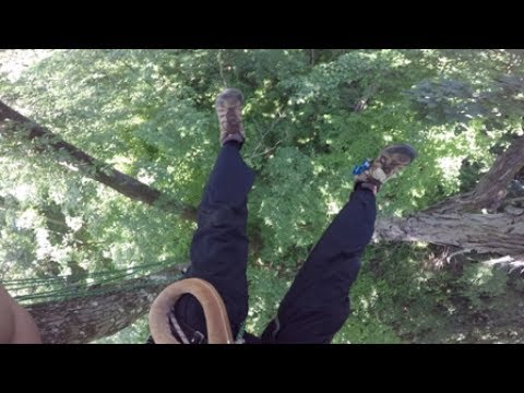 Traversing  tree to tree using a single throwline & grapnel  - Sugar Maple to Shag Bark