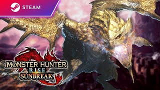 連続乙 2お疲れ様でした。不屈装備硬くなりましたね - 【PC版サンブレイク】シルソルヘルム4-4-2は先の時代の敗北者じゃけぇ毎日健康傀異錬成生活