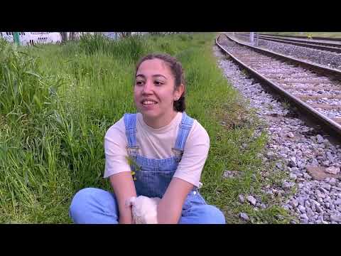 Sude Erali •|Tennessee Williams / Dikkat Çökme Tehlikesi Var|• -WİLLİE-