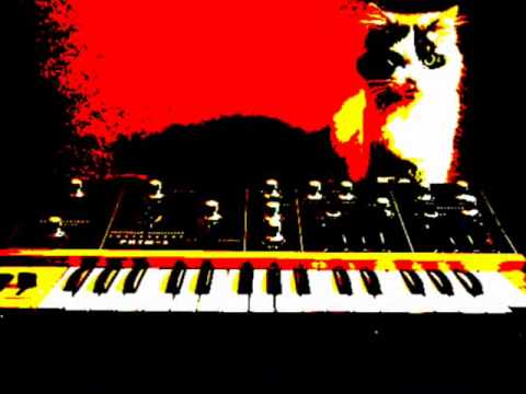 Cats Disco Lab - Cat's Thinking (2003)