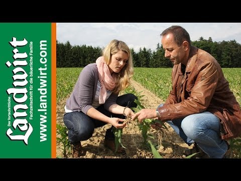 Bodenbearbeitung bei Mais | landwirt.com