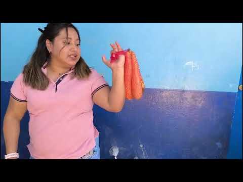 ESCUELA OFICIAL RURAL MIXTA, ALDEA TIXEL, COLOTENANGO, HUEHUETENANGO
