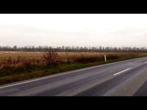 En to mange... Liv og glade dage...