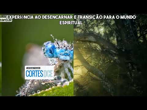 Cortes DcE #563 Experiência ao desencarnar e transição para o mundo espiritual