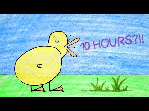 SEE THE LITTLE DUCK 10 HOUR CHALLENGE! NOT Baby Shark - dedboy