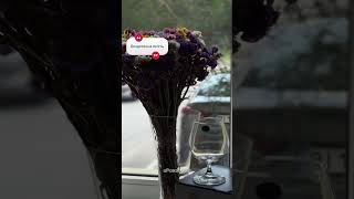 Набор бокалов для коньяка Bohemia Gastro (Colibri) 400 мл, 6шт (4S032 00000 400)