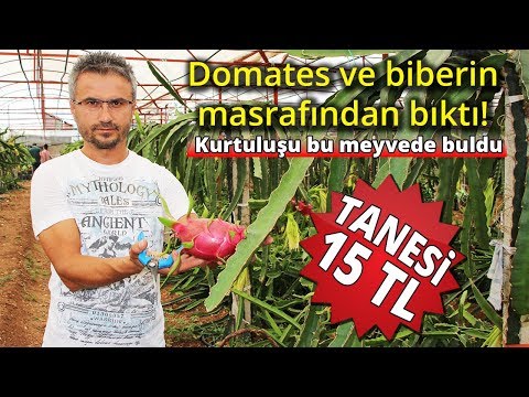 download lagu mp3 mp4 Antalya Kimyevi rnler, download lagu Antalya Kimyevi rnler gratis, unduh video klip Antalya Kimyevi rnler