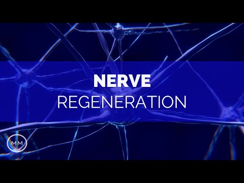 Nerve Regeneration - Repair Nerve Connections / Activate Growth - Monaural Beats - Meditation Music