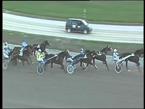 Trotto 01/11/2015 - 5° corsa