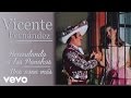 Vicente Fernández - Una Copa Más (Cover Audio)