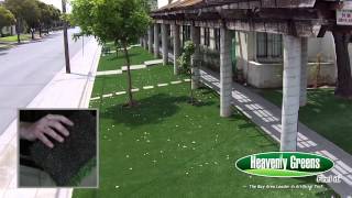 Heavenly Greens – Lush Nutmeg product