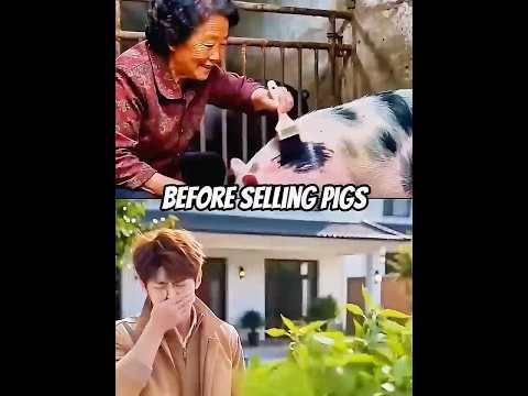 Before selling her pigs he did this - Part 1