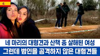 Download lagu [해외사건] 이 사건의 유일한 용의자였던 인물은 절친의 '남자친구' mp3