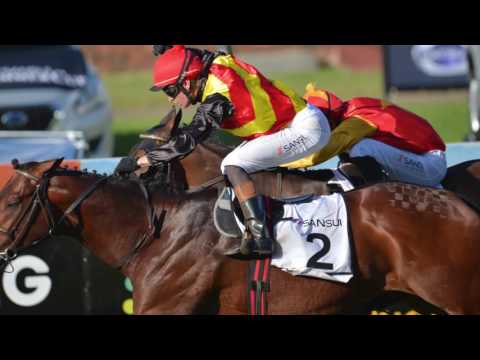 2016 Gauteng SANSUI Summer Cup Promo HD "The People's Race"