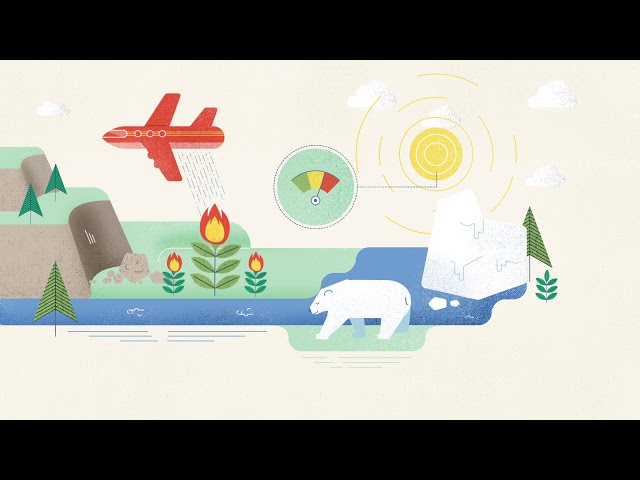 Quelles possibilités d’avenir en environnement?