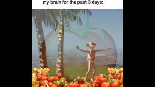 Dobby goes to Tomato Land