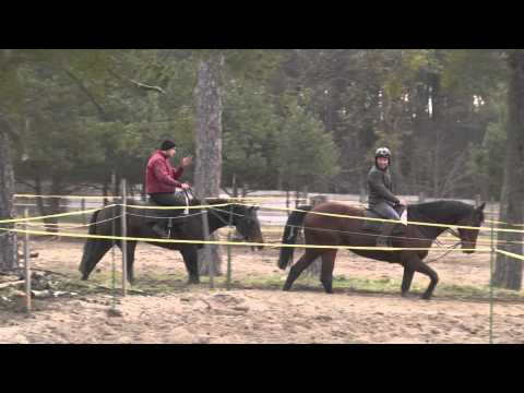 Animaltv.sk Dostihová Stajňa Línek Racing