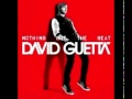 David Guetta - I Just Wanna Fuck