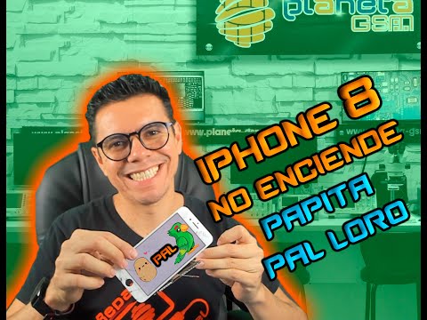 iPhone 8 won't turn on, daddy for the parrot