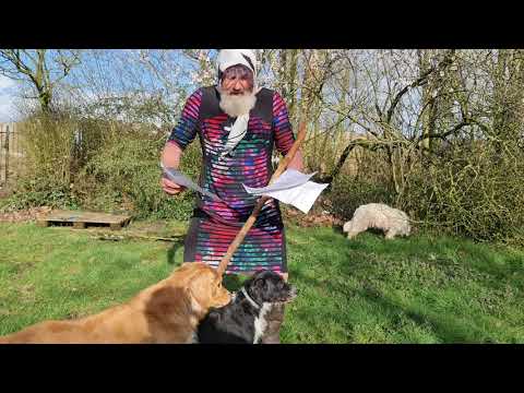 Robert Franz: Strafe für Frau Rossmann