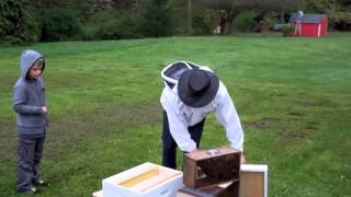 preview picture of video 'West Sound Beekeepers Association Hive Installation Demonstration'