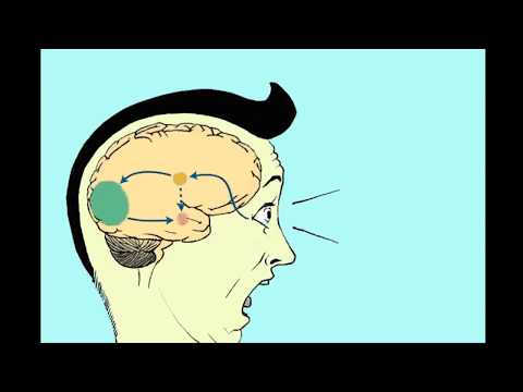 download lagu mp3 mp4 Porque Nos Ponemos Rojos, download lagu Porque Nos Ponemos Rojos gratis, unduh video klip Porque Nos Ponemos Rojos