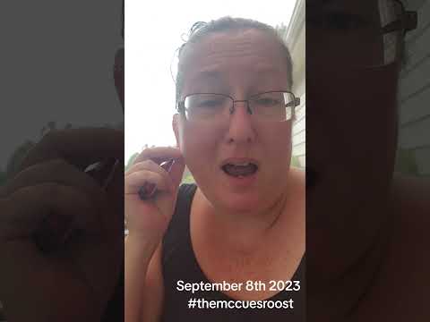 D- Day for The McCue's